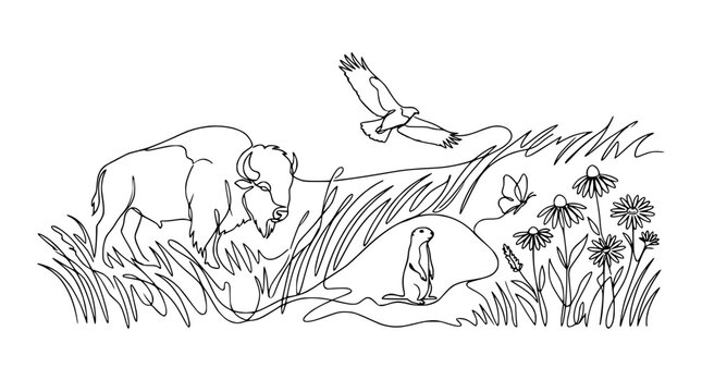 Wild Bison, Eagle, Prairie Dog, Butterfly in Meadow Landscape Line Art