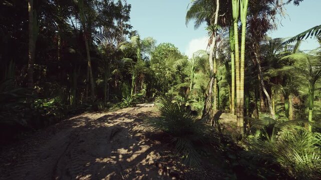 narrow forest path forming wildlife corridor, mixed canopy and understory support biodiversity, dappled sunlight and dense foliage highlight habitat