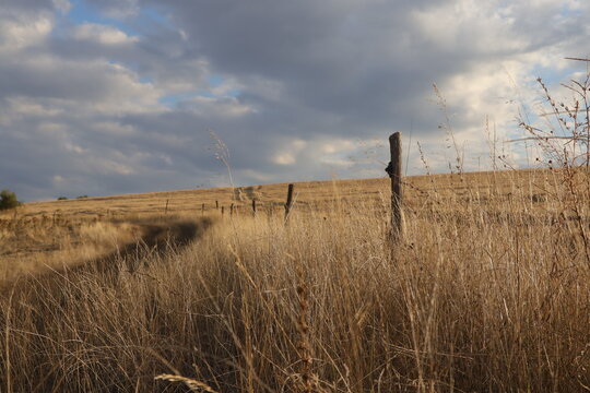 Rural landscape with dry grass, wooden fence post, and cloudy sky