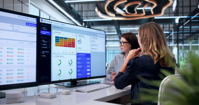 Woman Reviews Compliance Software Controls On Desktop Preparing