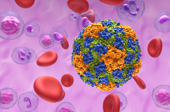 Hepatitis A virus (HAV) - closeup view 3d illustration
