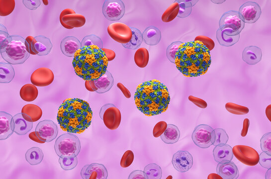 Hepatitis A virus (HAV) - isometric view 3d illustration