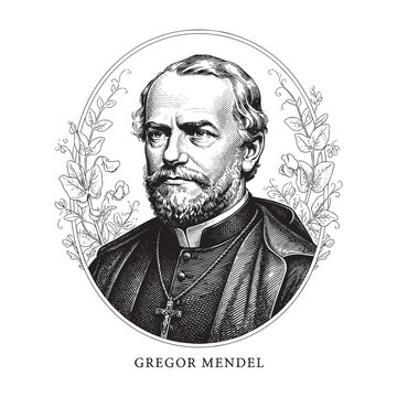 Gregor Mendel Portrait Vintage Engraving Style