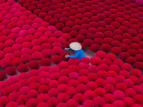 Woman in conical hat among drying red incense bundles