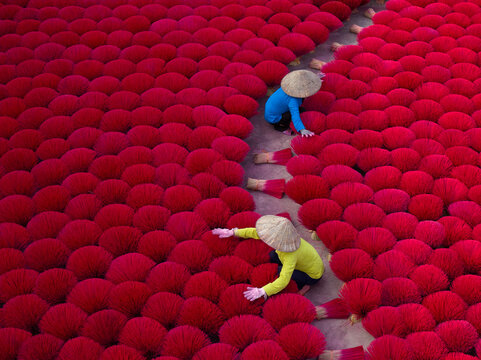 Vietnamese workers drying bright red incense sticks