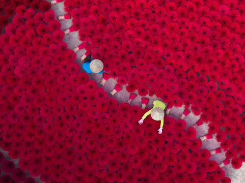 Two workers arrange red incense sticks to dry