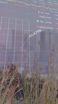 Animation of financial graph and data processing over cityscape