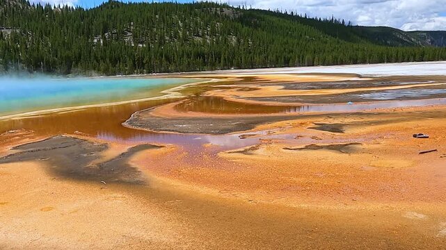 Colorful orange and yellow bacterial mats at the edge of Grand Prismatic Spring in Yellowstone