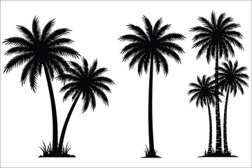 Fototapeta premium Set of black palm tree silhouettes isolated on white background featuring tropical coconut trees in various shapes and sizes, ideal for summer travel, beach themes, island destinations, vacation brand