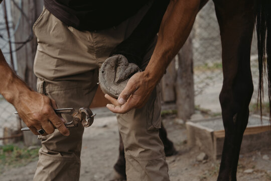 Man cares for horse hoof at farm in sunny afternoon