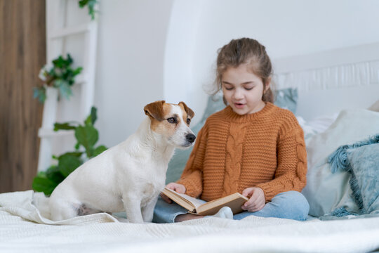 Jack Russell companion dog sits close to a caucasian girl with a book in a boho bedroom with macrame and a ladder shelf, for pet lifestyle and family content.