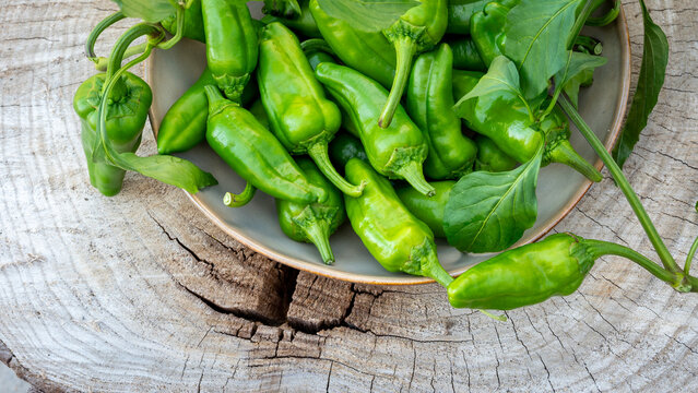 Candid macro photograph of fresh green Italian sweet peppers (friggitelli or friarielli) harvested with leaves, resting in a rustic ceramic bowl on a weathered wood plank. Mediterranean food concept