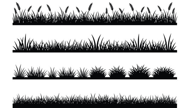 Silhouette collection of four different styles of grass lawn borders including weeds and wheat spikes isolated on a white background.