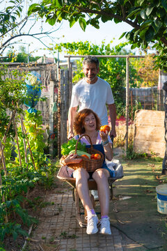 Happy couple harvesting organic vegetables in garden