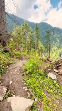 4K Vertical POV shot of a hiker walking on a mountain trail in the Himalayan mountain range near Manali in Himachal Pradesh, India during a sunny day in monsoon season. Hiking Adventure background.