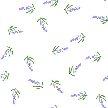 pattern soothing lavender cartoon. flower perfume, skincare healing, meditation wellness soothing lavender sign. seamless symbol vector illustration