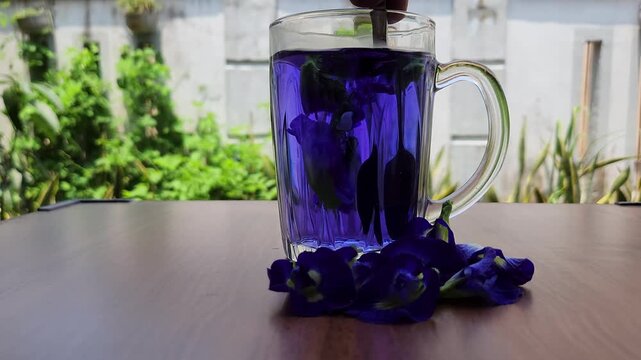 Close up of a glass mug filled with deep blue butterfly pea flower tea being stirred with a spoon and surrounded by Clitoria ternatea flowers on a wooden table in a garden