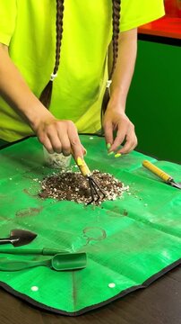 Woman mixes planting substrate during an indoor gardening process, houseplant repotting, soil preparation, healthy root care, horticulture routine.