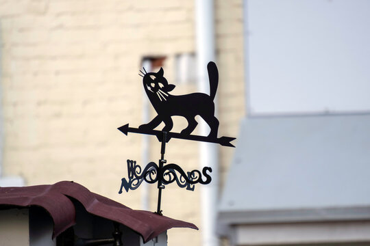 Decorative metal cat weather vane featuring a black cat silhouette mounted on a directional arrow and wind direction indicator.