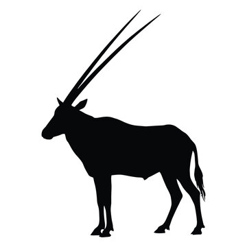 A striking gemsbok antelope stands in profile depicted as a black silhouette
