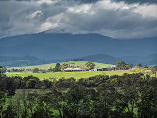 Obraz premium View Over The Trees To Farmhouse