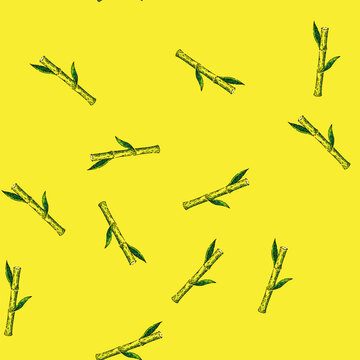 pattern sugar cane hand drawn vector. plant sugarcane, leaf plantation, green raw, field sugar cane sketch. isolated color illustration