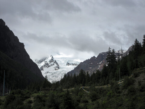 Mountain landscape with snow-capped peaks and dense forests