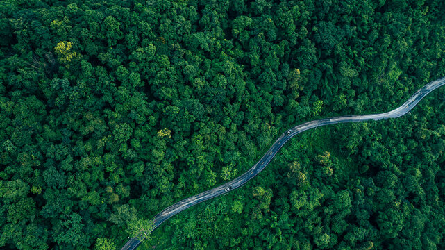 Aerial forest road with car creating abstract background for electric vehicle, ESG, sustainability and green investment business concepts.