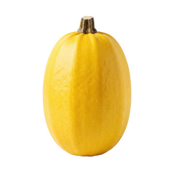Fresh whole yellow spaghetti squash vegetable