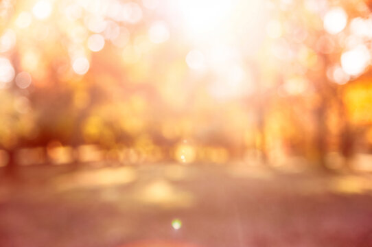 Bright autumn background with warm bokeh and sun rays in blurred park