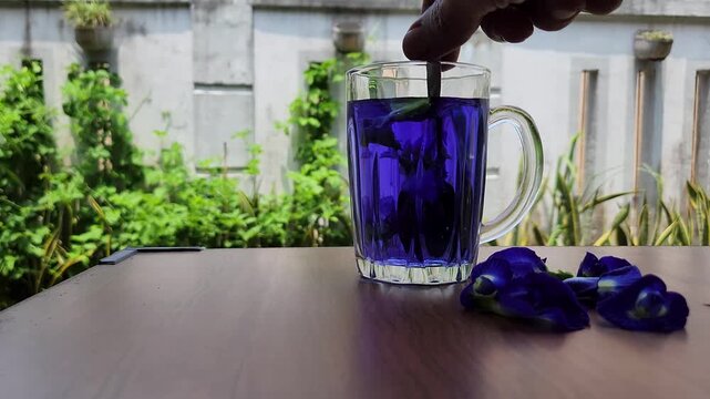 Close up of a person stirring deep blue Clitoria ternatea herbal tea in a glass mug with butterfly pea flowers on a wooden table in a sunny outdoor garden setting
