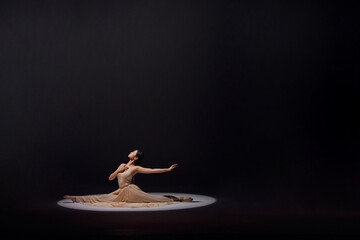 Graceful ballerina in spotlight on dark stage © LuuNhan