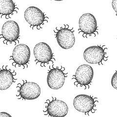Naklejka premium seamless pattern mite tick hand drawn. bite parasite, animal bed, bedbug forest mite tick black sketch illustration