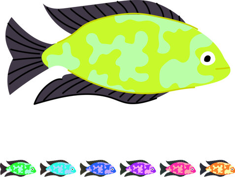 cichlid decorative fish cartoon. discus koi, molly platy, swordtail neon cichlid decorative fish sign vector