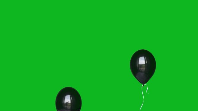 Black helium balloons floating slowly upwards on green screen.