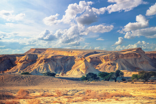 View of desert. View of valley with mountains on backdrop. Nature of Israel.