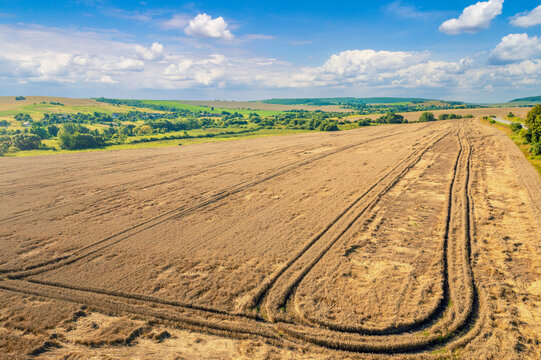 Aerial view of a wheat field. Summer rural landscape