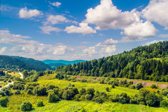 View of the meadow on the slope of the mountain on a summer sunny day