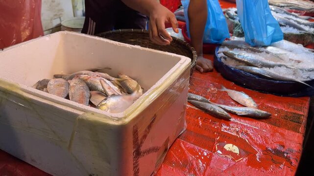 Fish Seller Handling Fresh Fish at Market