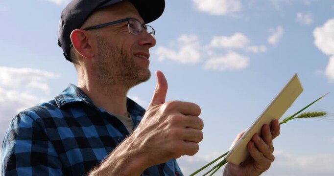 Farmer uses tablet while holding wheat stems and showing thumbs up in field. Smart farming, crop monitoring and agricultural technology illustrate successful modern agribusiness and innovation.