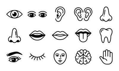 Naklejka premium Human sense organs collection including eyes ears nose mouth brain