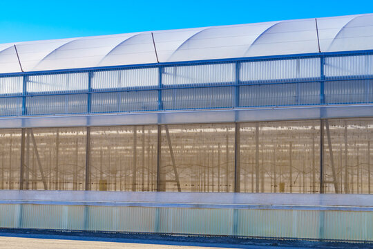 Exterior view of ommercial glasshouses structure
