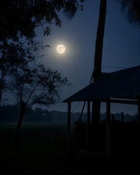 Moonlit Rural Shelter and Fields
Moon And Tree