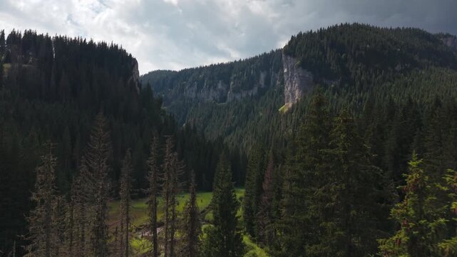 Sheer Zanoaga Cliff Rising Above Dark Fir Forest