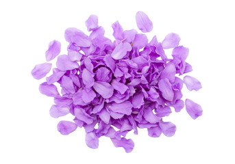 Fototapeta premium Purple flower petals pile isolated on transparent background