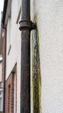 Water leaking from rusty iron downpipe causing green moss on building wall