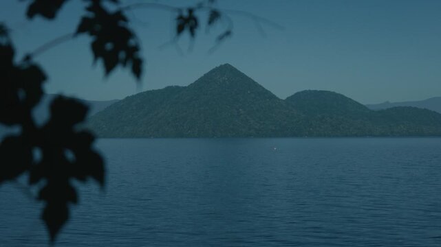 Blue sky and Lake Toya with Nakajima Island in the background, with grass leaves silhouetted along the left side of the frame.
