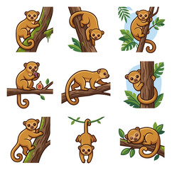 Fototapeta premium Cute small mammal animal poses on tree branches natural habitat