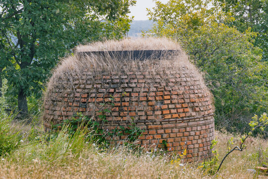 Overgrown dome-shaped brick structure reclaimed by wild vegetation in a rural countryside setting.