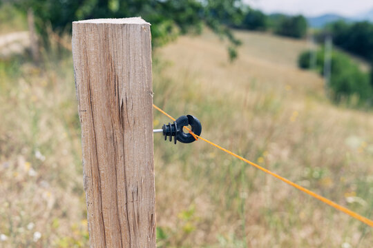 Close-up of a wooden fence post with an electric insulator and orange wire crossing a dry summer meadow. Rural concept.
